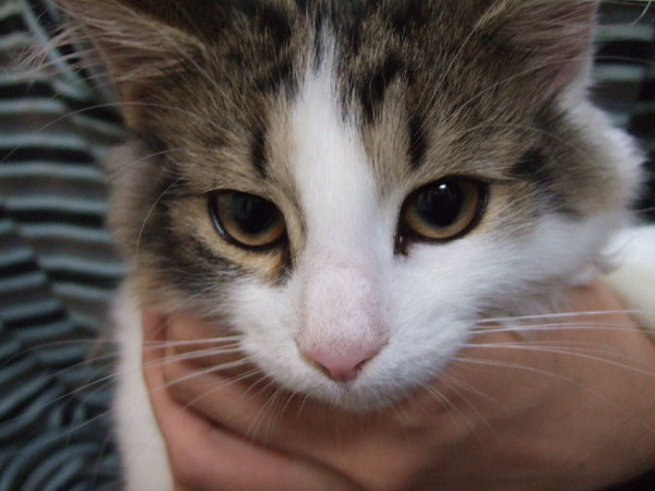 ã��ã��ã�¼â��ã�­ã�£ã�¡ã�«å±±ä¸�ã��ã��å®¶ã�®ç�¥ç��ã�¡ã��ã��ã�£ã��ã��ç�¸å¤�ã��ã��ã��ã�°ã�¬ã�¤ã��ã��ã�«ã�§ã��ã�¼ï¼�ã��ç§�ã�¨å��ã��å��å��ã�&nbsp;ã��ã��ã�£ã�¦ç�®å��ã��è�¡æ��ã�ªã��ã�¨ã��ã�®ä¸�ã��ã��ã�¾ã��ã��ã�¼ï¼�